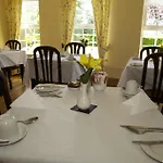 Auburndale كيلكيني