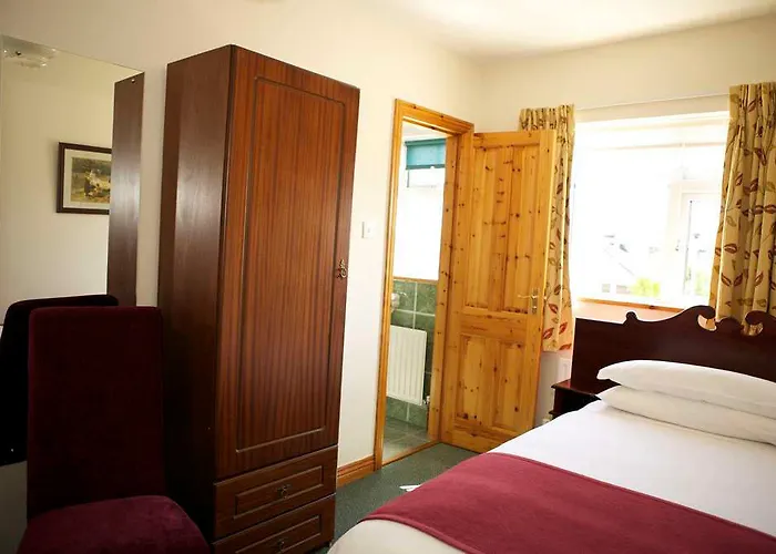 Auburndale ゲストハウス キルケニー