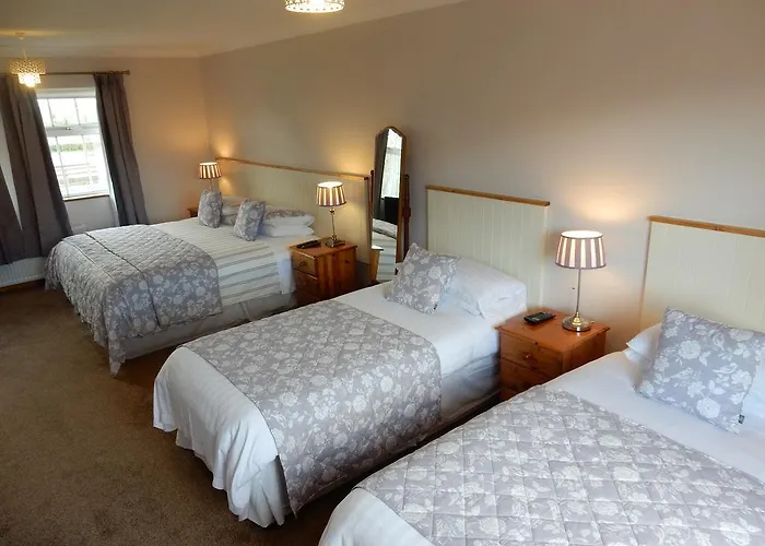 Auburndale 4* キルケニー