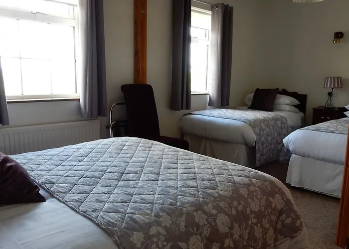 Auburndale ゲストハウス キルケニー