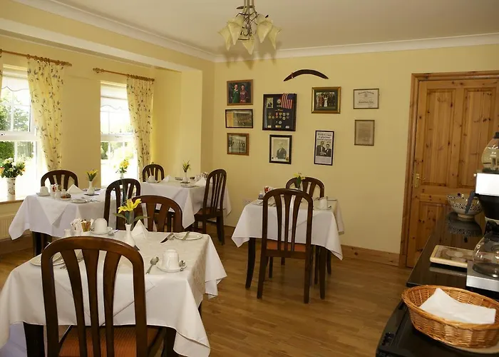 Auburndale ゲストハウス キルケニー