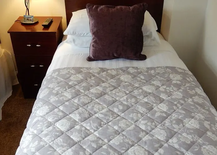 Auburndale ゲストハウス キルケニー